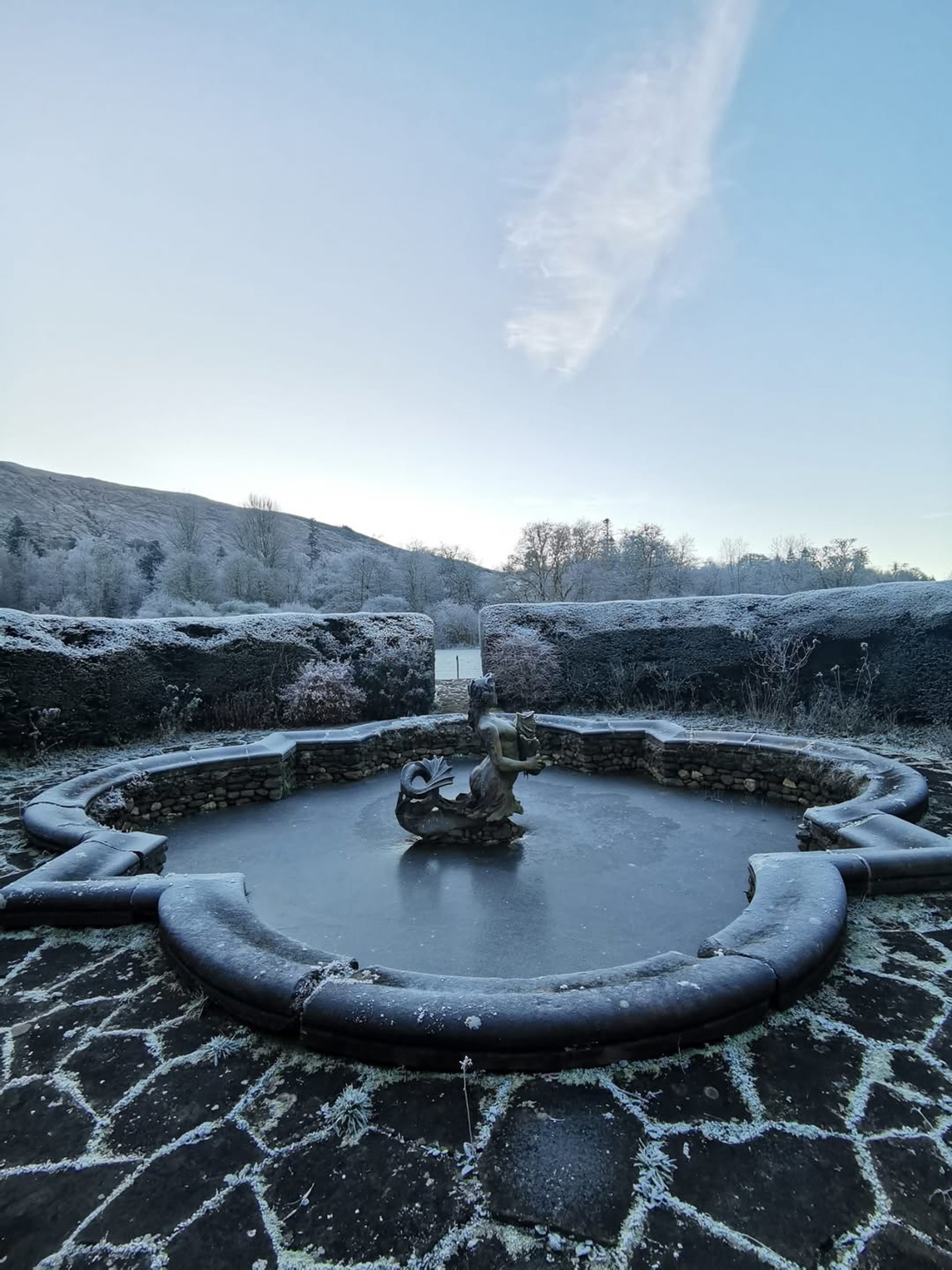 Background image - Ardkinglas Winter