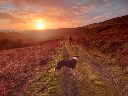 Enjoy a stunning sunset walk in Knapdale.