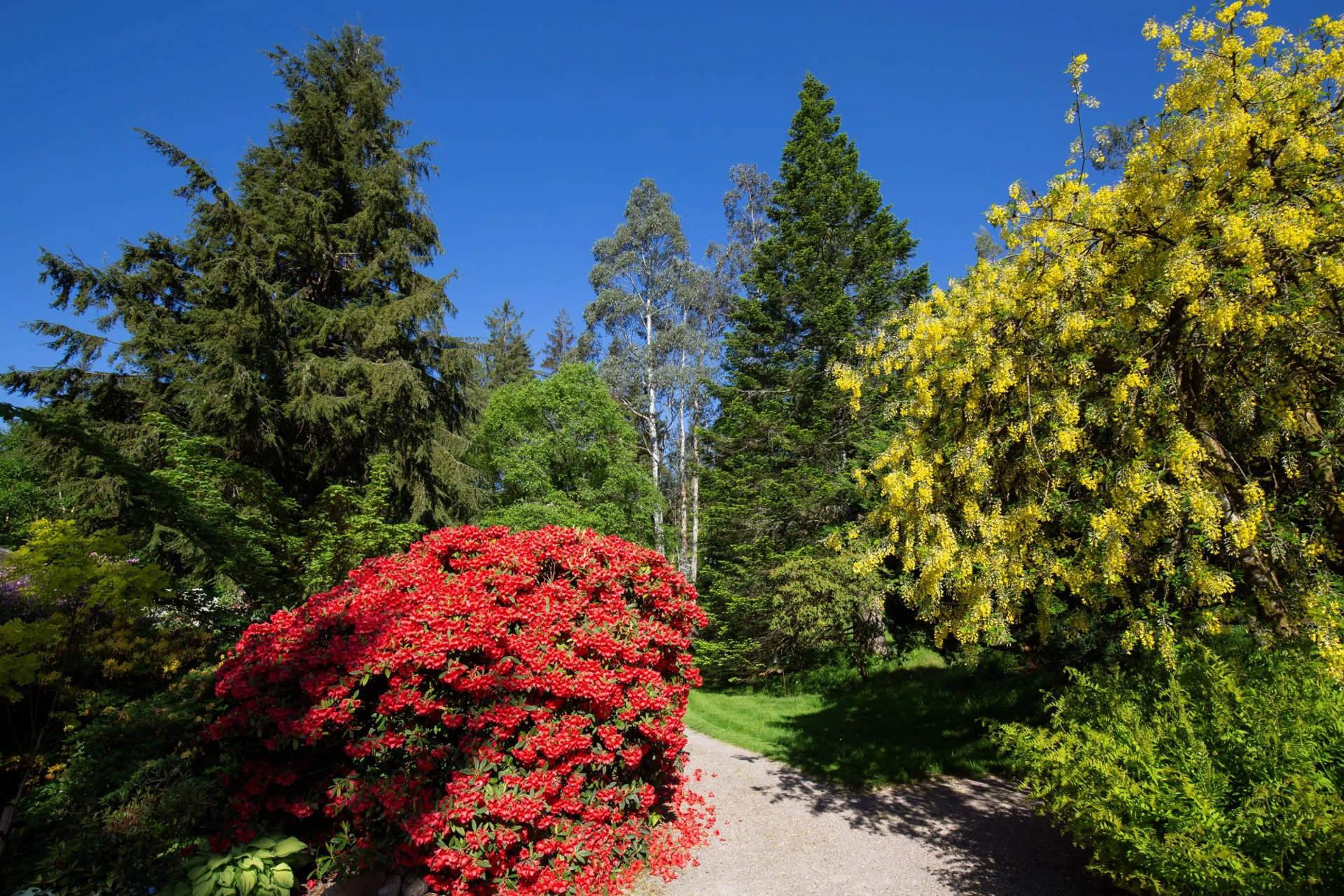 Background image - southqueensferryqfcrossing-roadbridge2.jpg
